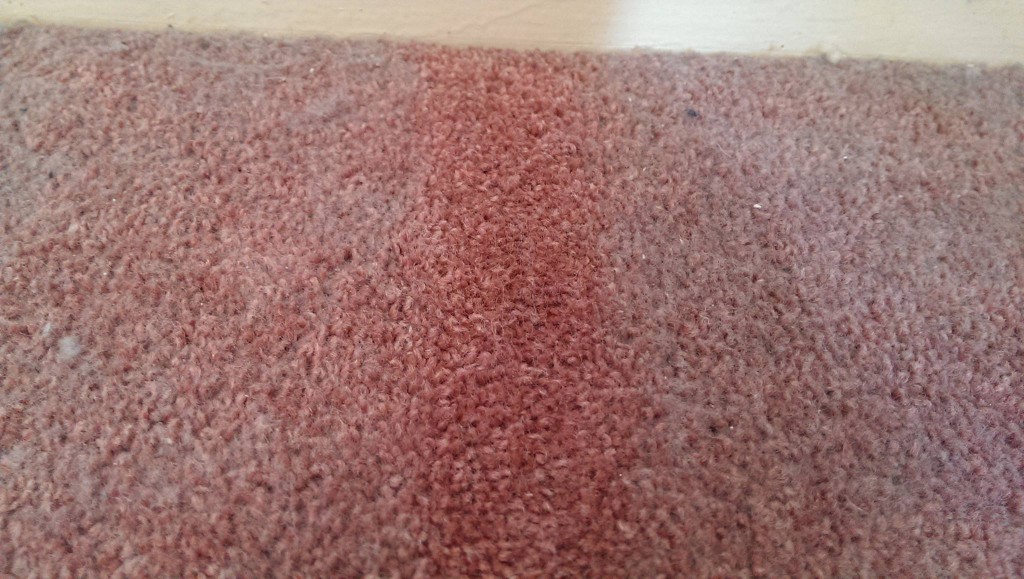 bedroom carpet may 2015